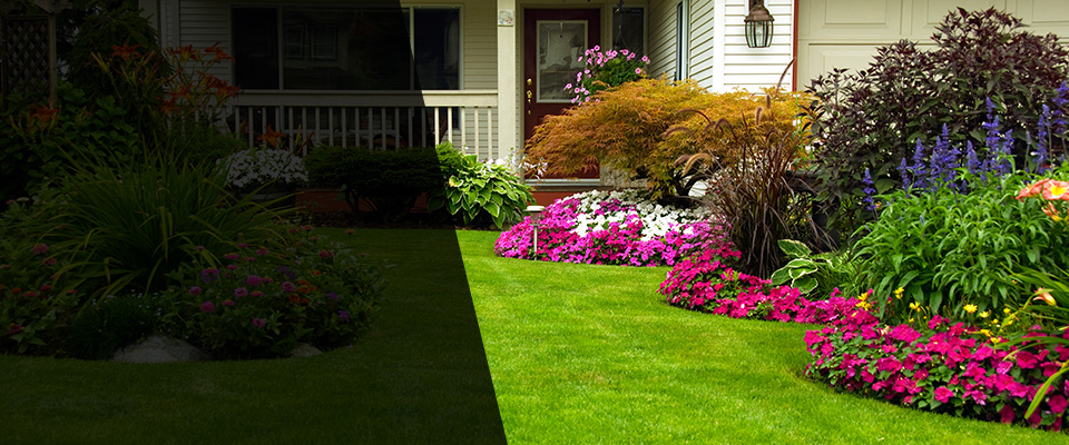 Montague Landscapers